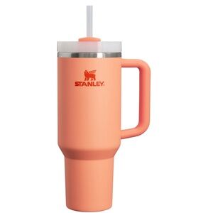 Stanley Coral Travel Mug